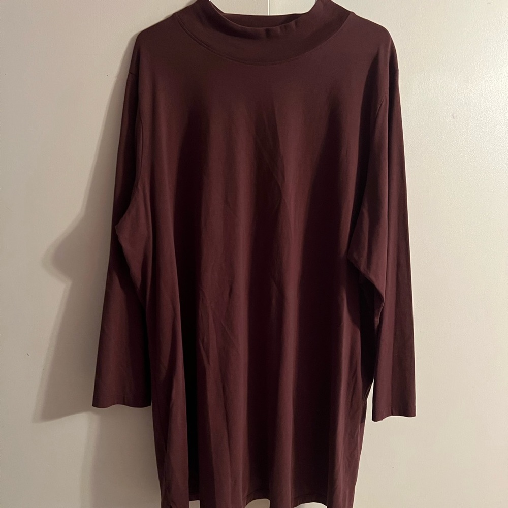 Brown Mock Turtleneck Top